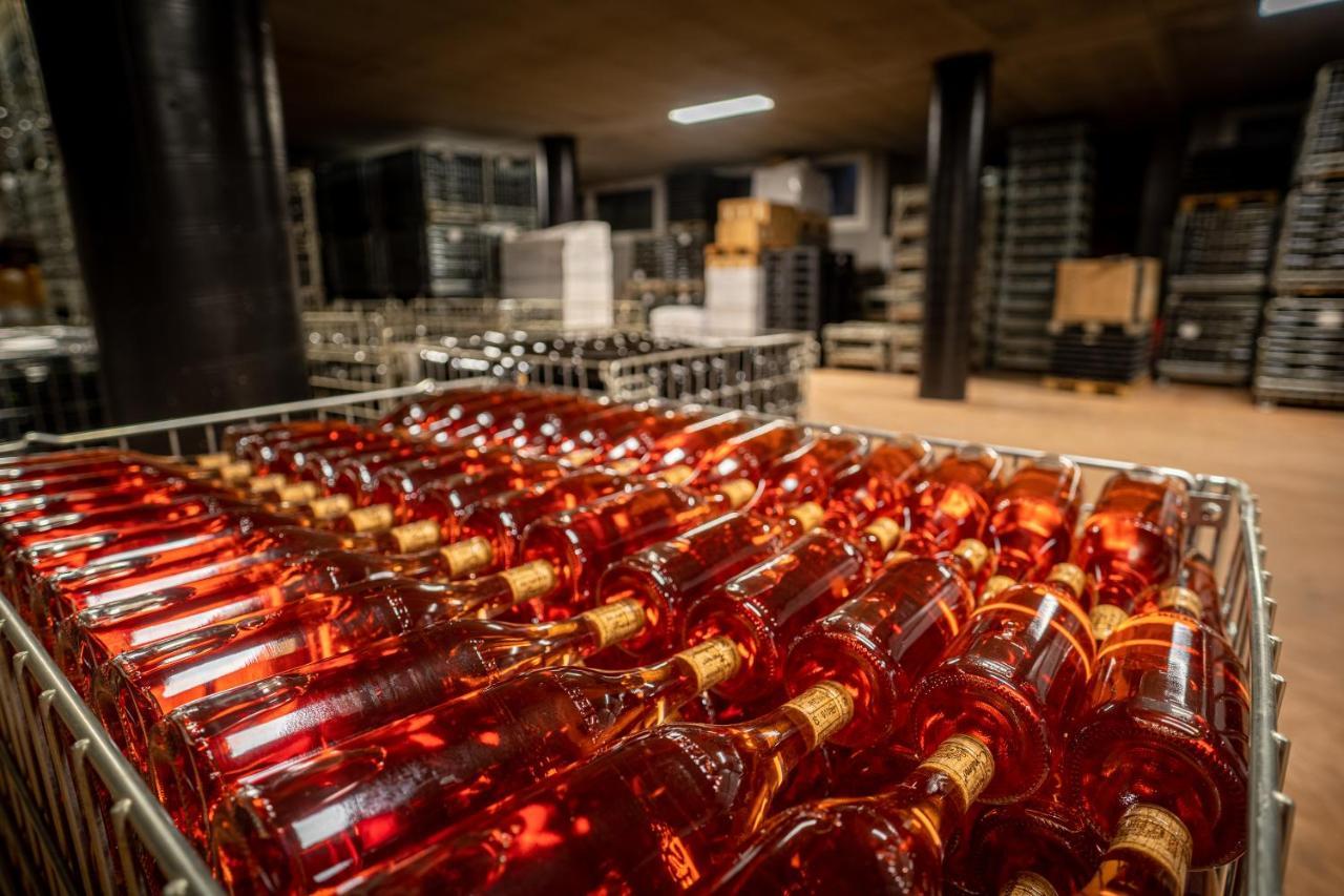 Agriturismo Cascina Sciulun 蒙福特达尔巴 外观 照片