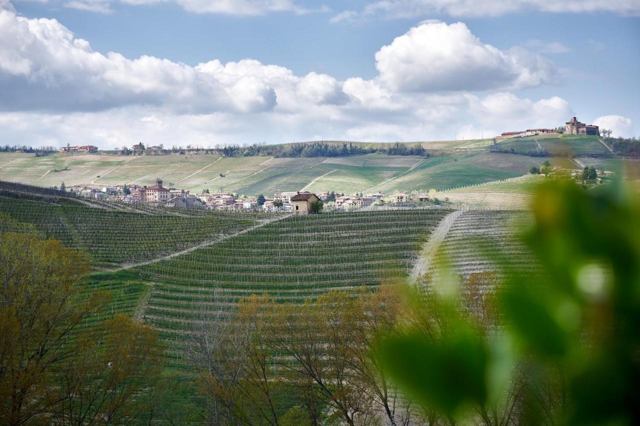 Agriturismo Cascina Sciulun 蒙福特达尔巴 外观 照片